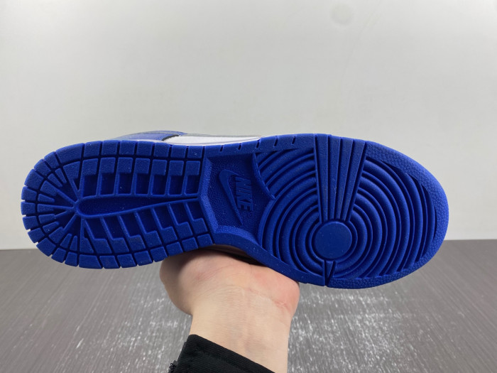 nike dunk low ndl0108