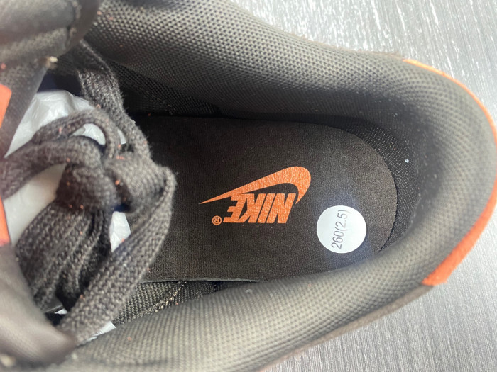 nike dunk low “red panda” fv0395-200