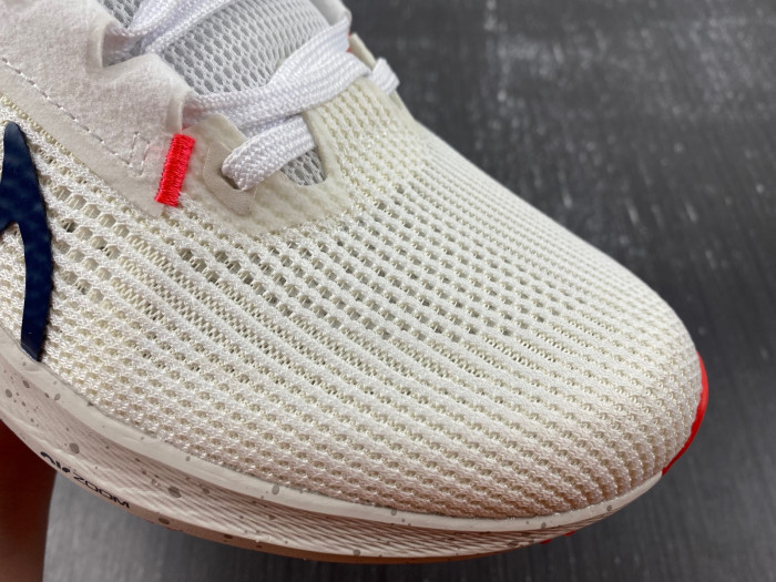 air zoom pegasus az0824