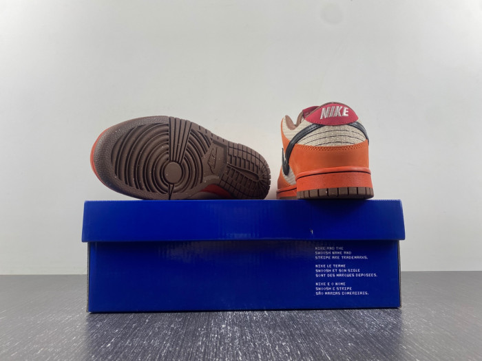 nike sb dunk low top ramen 313170-101