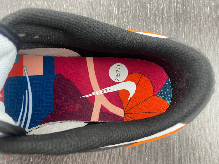 nike sb dunk low 20230302