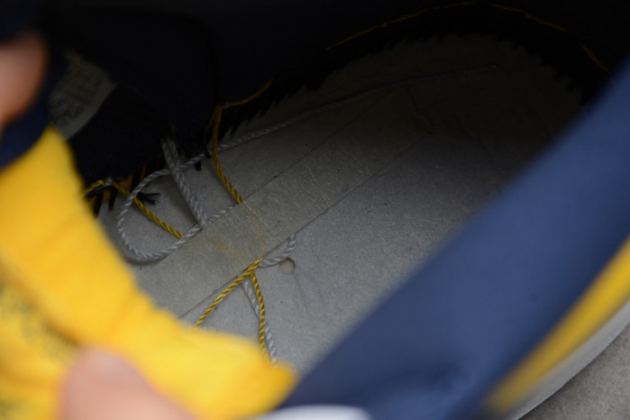 nike dunk high michigan (2020) cz8149-700h