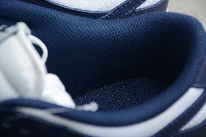 nike sb dunk low navy blue white running shoe dd1503-115