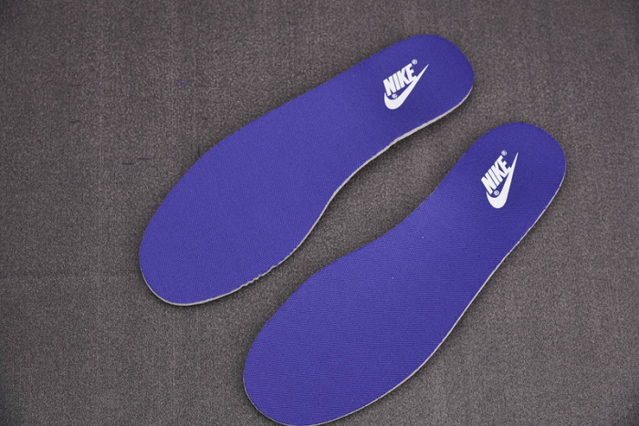 nike sb dunk low retro “court purple” dd1391-104