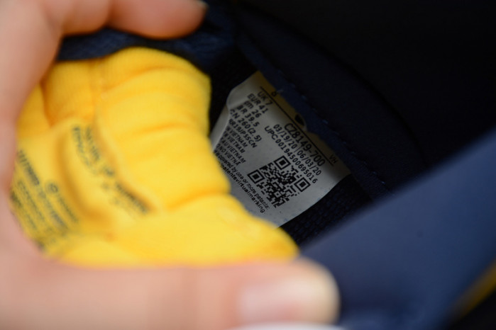 nike dunk high michigan (2020) cz8149-700h