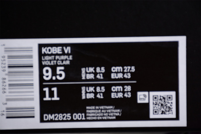 nike kobe 6 protro eybl dm2825-001