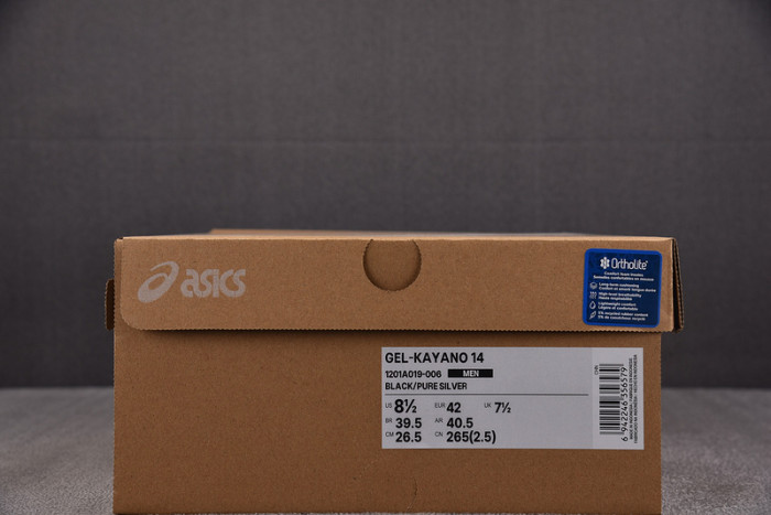 ASICS sneaker 1203A543-103