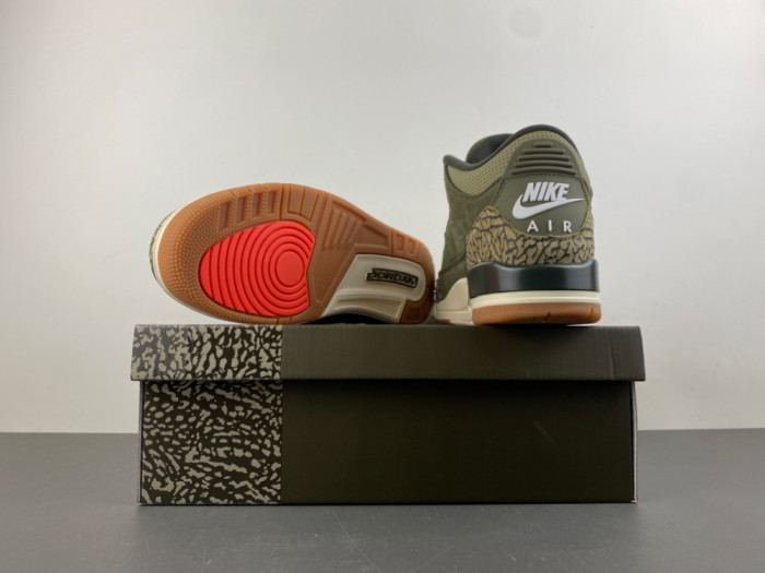 Air Jordan 3 “Family Affair” DN3707-202