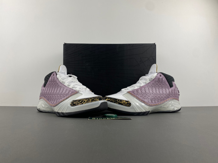Air Jordan 23 White Stealth 318376-102