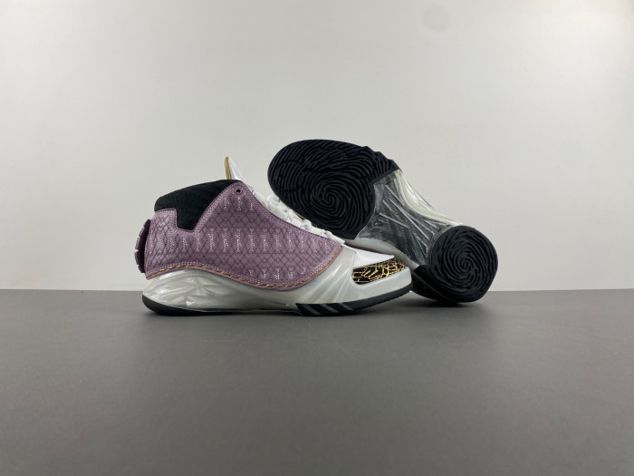 Air Jordan 23 White Stealth 318376-102