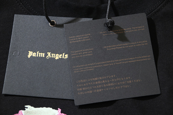Palm Ange*12