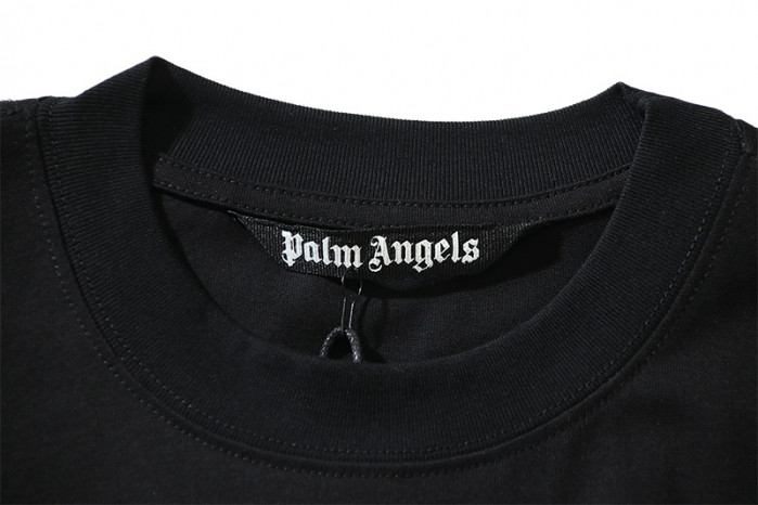 Palm Ange*12